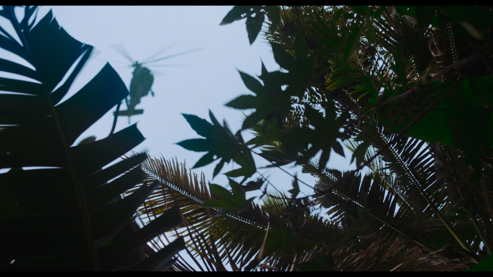 disco_boy_image_galeria_6